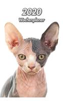 2020 Wochenplaner: Sphynx Katze 107 Seiten, 15cm x 23cm ca. A5 Taschenkalender Terminplaner Tagebuch Terminkalender Organizer für Katzenliebhaber