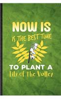 Now Is the Best Time to Plant a Lily of the Valley