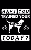 Have You Trained Your Labrador Retriever Today?