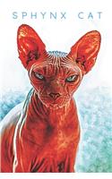 Sphynx Cat