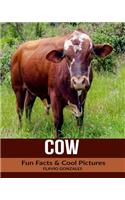 Cow: Fun Facts & Cool Pictures