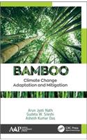 Bamboo