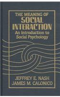 Meaning of Social Interaction