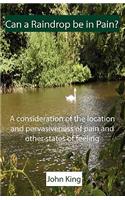 Can a Raindrop Be in Pain?: A Consideration of the Location & Pervasiveness of Pain and Other States of Feeling
