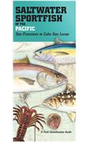 Saltwater Sportfish of the Pacific