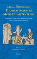 Legal Norms and Political Action in Multi-Ethnic Societies