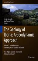 Geology of Iberia: A Geodynamic Approach