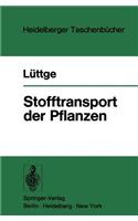 Stofftransport Der Pflanzen