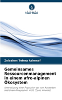 Gemeinsames Ressourcenmanagement in einem afro-alpinen Ökosystem