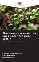 Études socio-productives dans l'interface rural-urbain