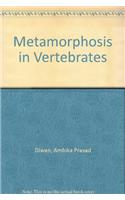 Metamorphosis in Vertebrates