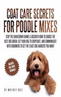 Coat Care Secrets For Poodle Mixes