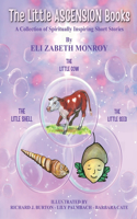 Little Ascension Books