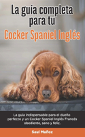 Guía Completa Para Tu Cocker Spaniel Inglés