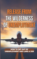 Release From The Wilderness Of Unemployment: How To Get Out Of Unemployment And Land A Job: The Mercy Of Employers