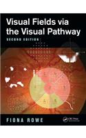 Visual Fields via the Visual Pathway
