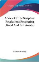 A View Of The Scripture Revelations Respecting Good And Evil Angels