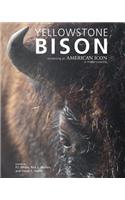 Yellowstone Bison