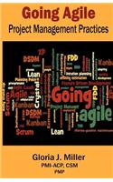 Going Agile Project Management Practices