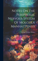 Notes On The Peripheral Nervous System Of Molgula Manhattensis