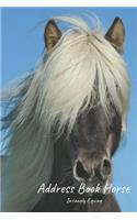 Address Book Horses