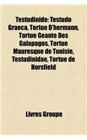 Testudinide: Testudo Graeca, Tortue D'Hermann, Tortue Geante Des Galapagos, Tortue Mauresque de Tunisie, Testudinidae, Tortue de Ho: (French)