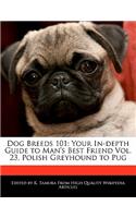 Dog Breeds 101