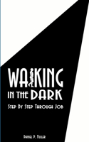 Walking In the Dark: Step By Step Through Job