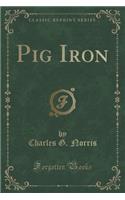 Pig Iron (Classic Reprint): (English)