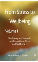 From Stress to Wellbeing, Volume 1