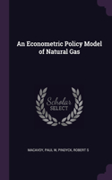 Econometric Policy Model of Natural Gas