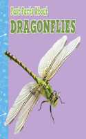 Fast Facts About Dragonflies: (Fast Facts About Insects and Spiders)