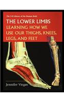 The Lower Limbs