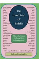 The Evolution Of Spirits