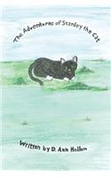 Adventures of Stanley the Cat