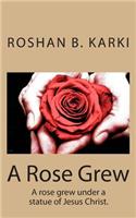 A Rose Grew
