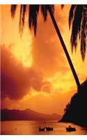 Journal Palm Tree Over Water: (Notebook, Diary, Blank Book)(Travel Journals Notebooks Diaries)
