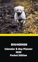 Bolognese Calendar & Day Planner 2020 Pocket Edition