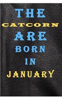 The Catcorn Are Born in January