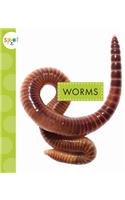 Worms