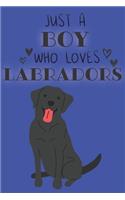 Just A Boy Who Loves Labradors