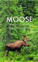 Moose 5 x 8 Weekly 2020 Planner: One Year Calendar