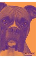 Notebook: Boxer Dog Breed Pet Diary Journal (Orange)