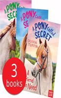 PONY CALLED SECRET X3 S W