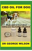 CBD Oil for Dog: All You Need to Know about Making Your Dog Healthy with CBD Oil