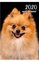 2020 Weekly Planner: 6" X 9" In. Pomeranian 52 Weekly Calendar Schedule Organizer Appointment Journal Notebook for Zwergspitz Fans