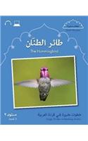 Small Wonders: The Hummingbird
