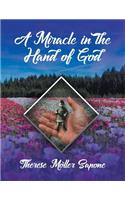 A Miracle in the Hand of God
