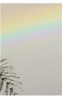 Rainbows and Palm Trees Notebook