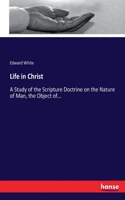 Life in Christ